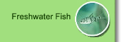 Freshwater Fish