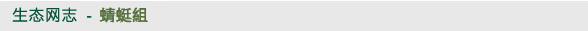 生态网志 - 蜻蜓组