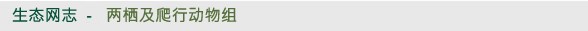 生态网志 - 两栖及爬行动物组